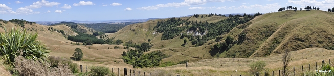 photo no 15