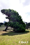 photo no 6