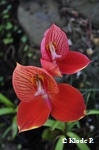 photo no 6