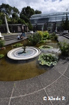 photo no 8