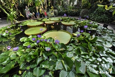 photo no 9