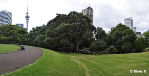 photo no 5