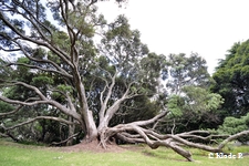photo no 2