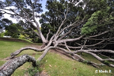 photo no 3