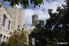 photo no 4