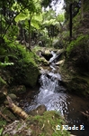 photo no 2