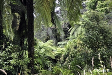 photo no 3