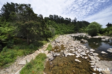 photo no 4