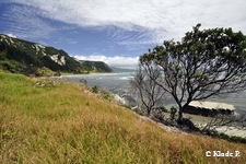 photo no 8