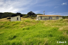 photo no 11