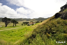 photo no 12