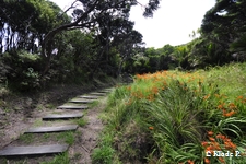 photo no 13