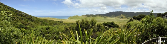 photo no 14