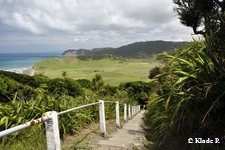 photo no 18