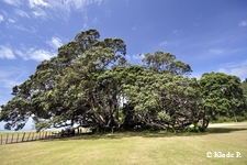 photo no 19