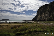 photo no 5