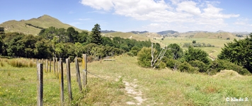 photo no 7