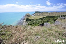 photo no 9