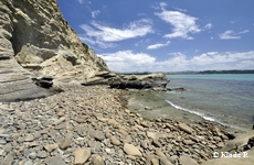 photo no 11