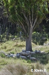 photo no 13
