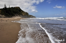 photo no 7
