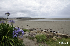 photo no 4