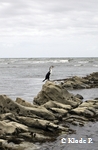 photo no 6