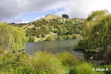photo no 7