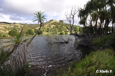photo no 8