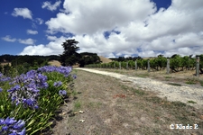 photo no 6