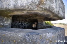 photo no 10