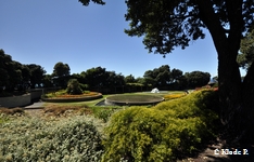photo no 4