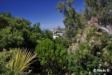 photo no 14