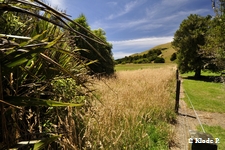 photo no 2