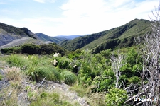 photo no 3