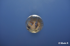 photo no 6