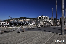 photo no 17