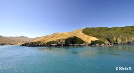 photo no 5