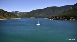 photo no 9
