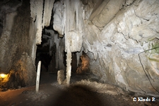 photo no 2