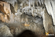 photo no 3