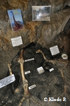 photo no 4
