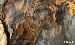 photo no 6