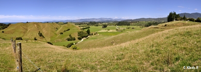 photo no 8