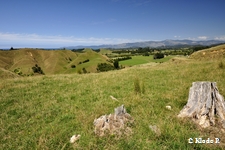 photo no 9