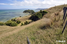 photo no 10
