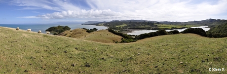 photo no 12