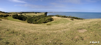 photo no 13