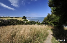 photo no 14