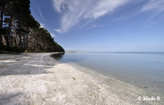 photo no 15